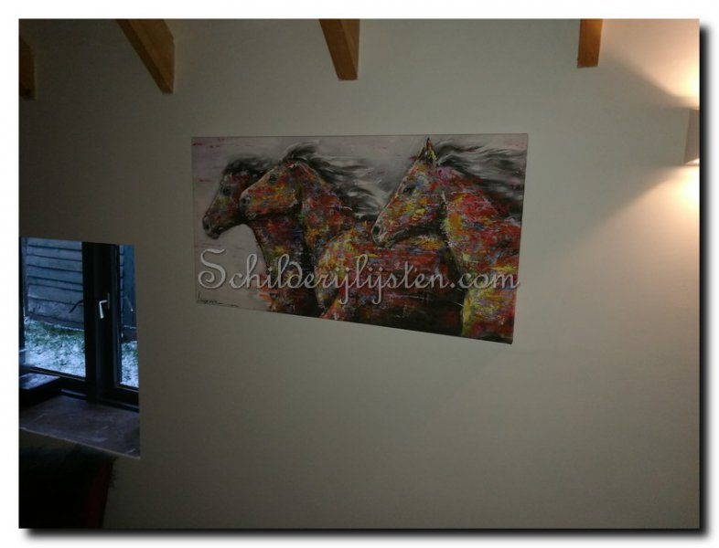Eindresultaat canvas paarden opgespannen