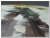 60x90cm schilderij 000052 schilderij palet flora in gele jas